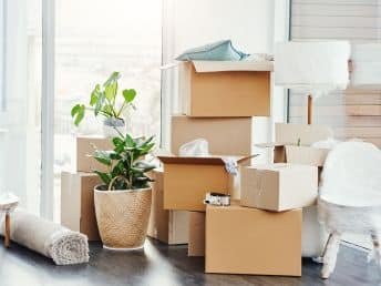 Moving Supplies